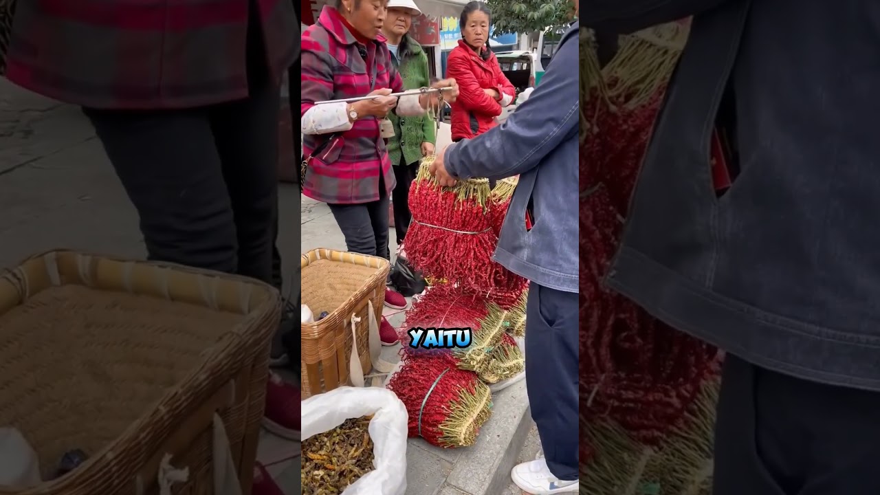 Cara mengawetkan cabai merah supaya tahan lama