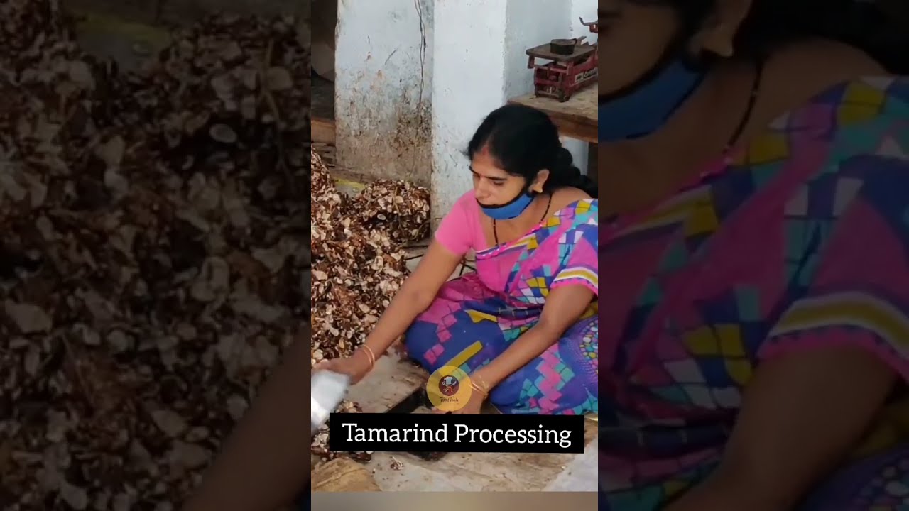 Tamarind Processing 🤩🤗