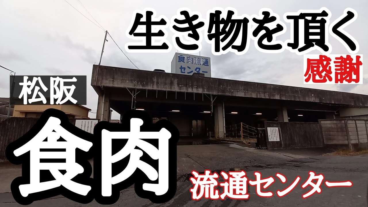 松阪食肉流通センター　生き物の命を頂く　三重県松阪市