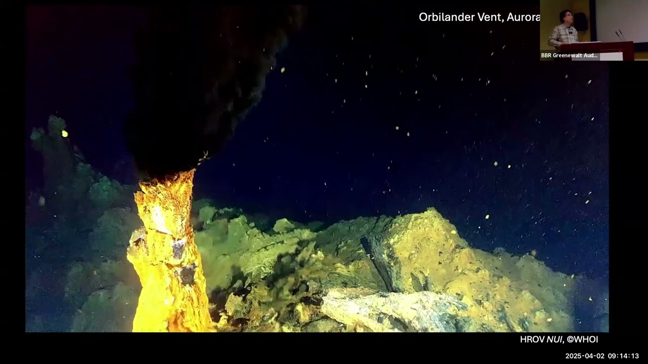 Module 4: Assessing the Abiotic Background - Earth Perspective