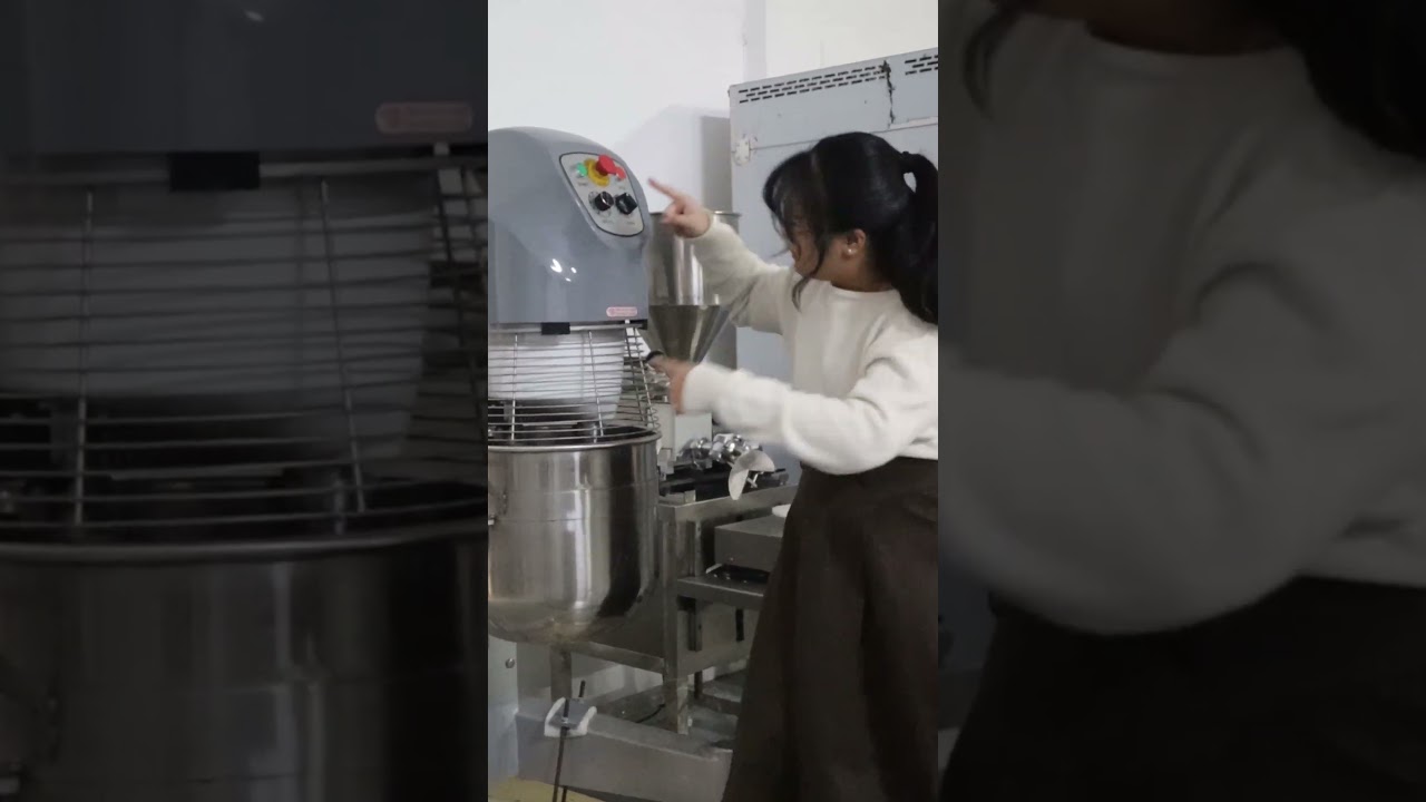 Pro baker buy Krono EP Mixer／  LS SMART MACHINERY