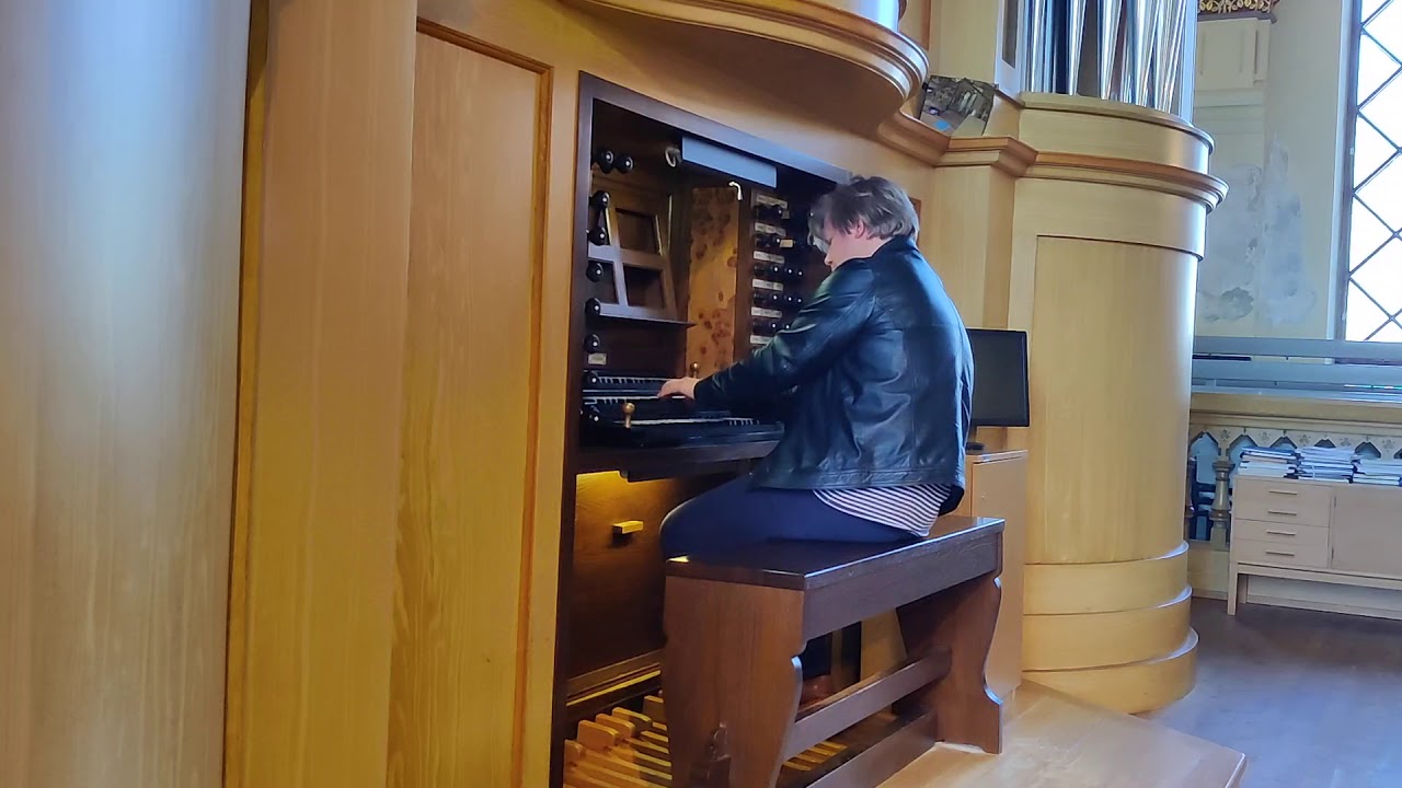 J.S. Bach: Fantasia and Fugue (BWV 537) - Pétur Sakari, Organ