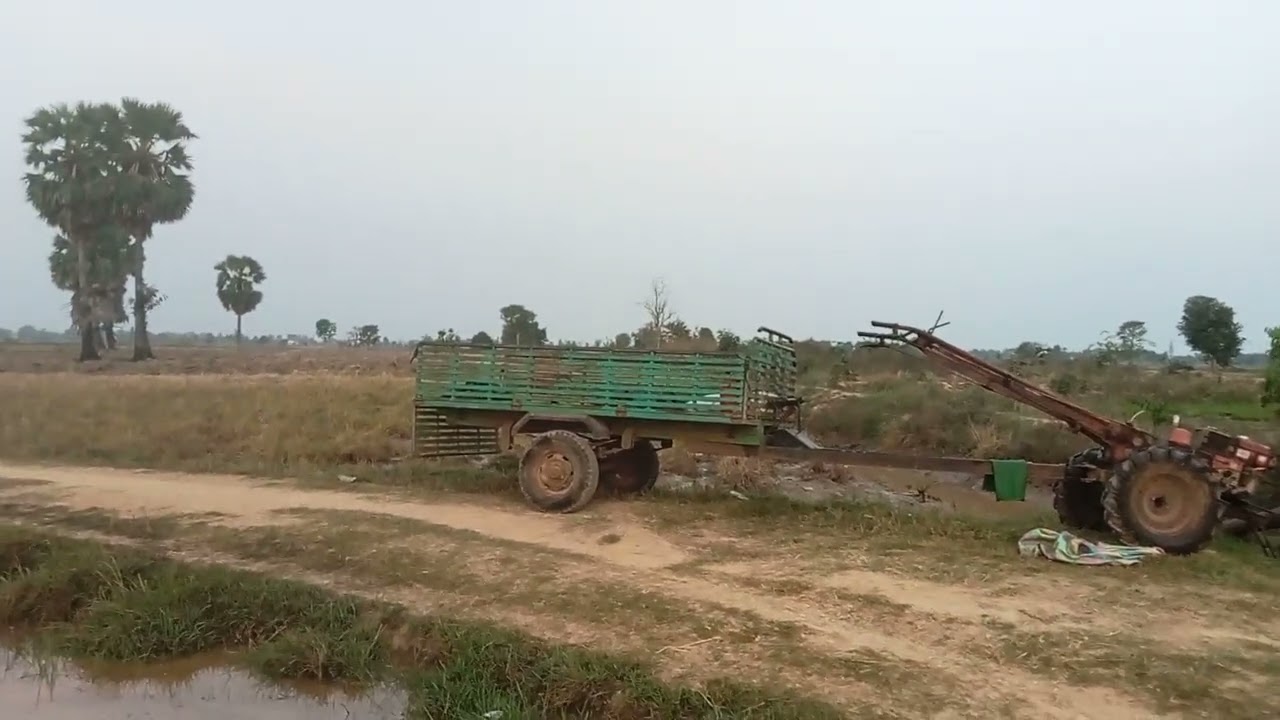 មកបូមទឹកដាក់ស្រូវប្រាំងទៀតហើយកុំឲ្យកណ្ដុរស៊ីស្រូវ