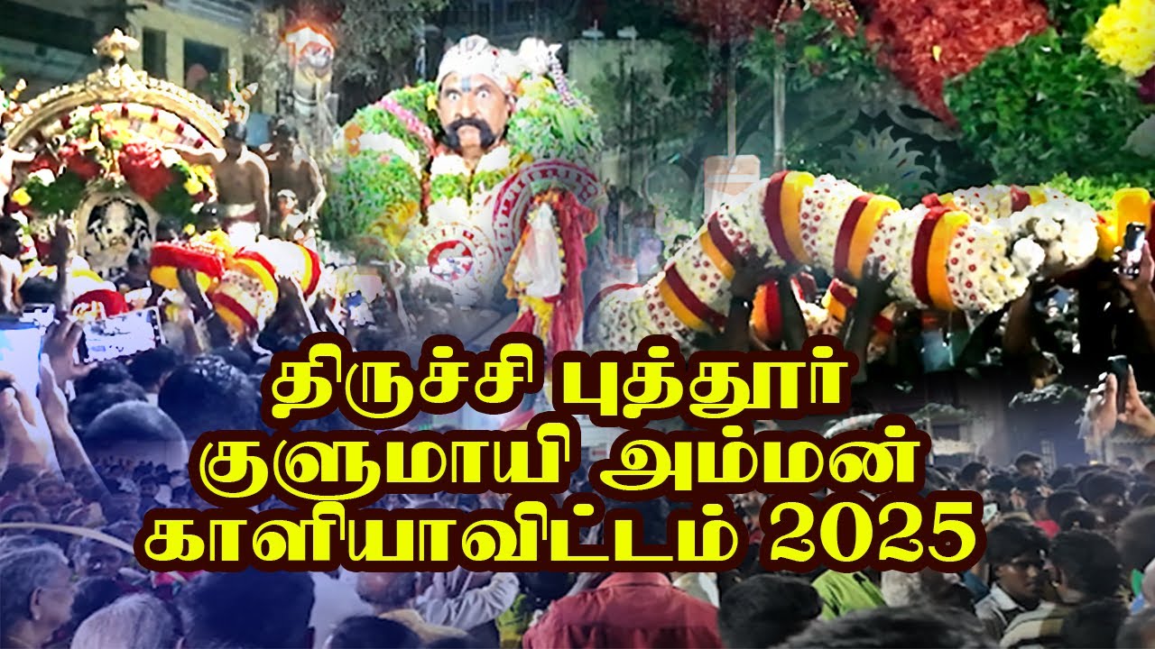 திருச்சி புத்தூர் குழுமாயி அம்மன்  காளியவிட்டம் 2025 | Kulumayi Amman Kaliavittam | Amman Festival