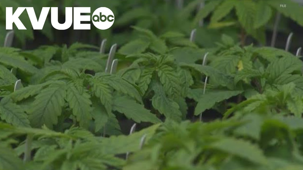 Texas DPS accepting Compassionate Use Program dispensary applications