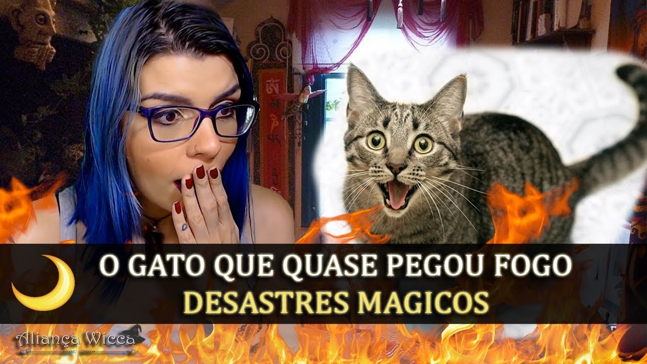 O GATO QUE QUASE PEGOU FOGO  |  DESASTRES MAGICOS