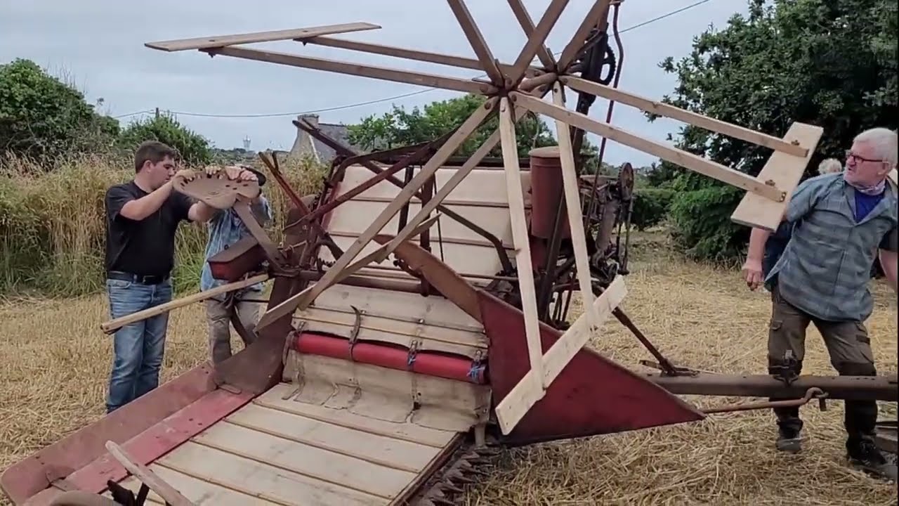 Les moissons à l'ancienne - Cleden 2025