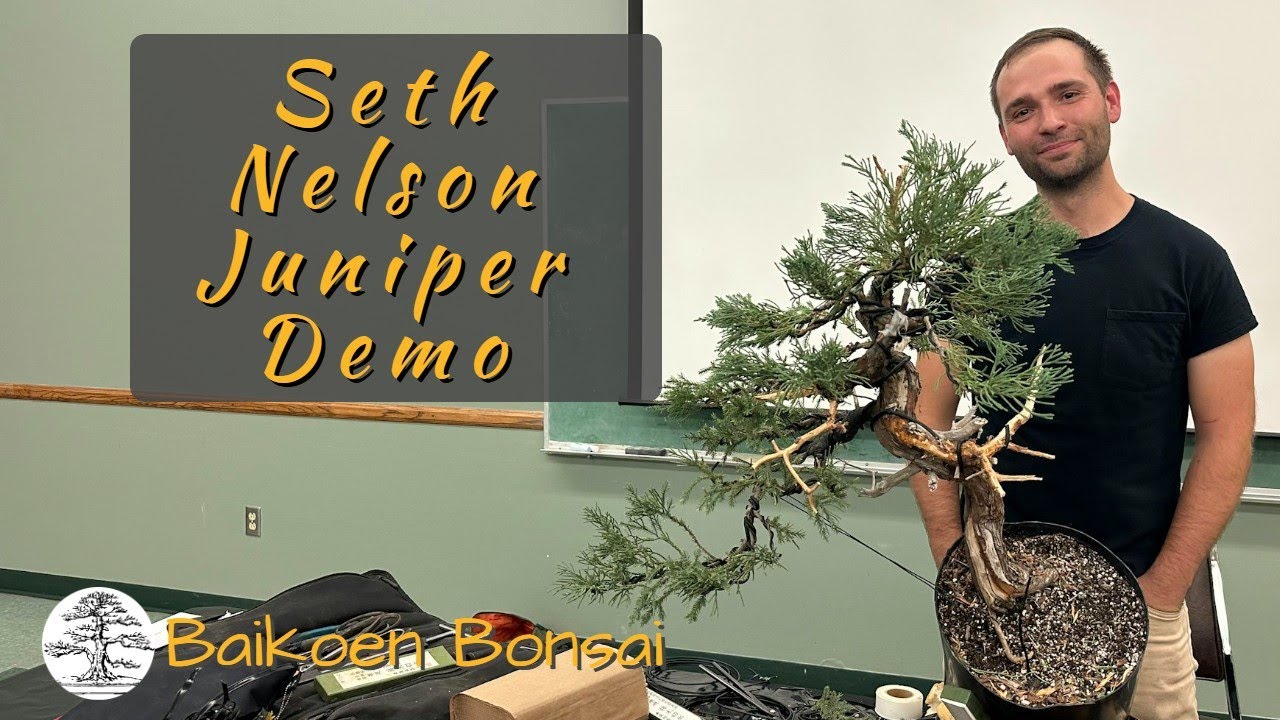 Seth Nelson - Juniper Demonstration - November 2025 - Club Meeting - Baikoen Bonsai Club