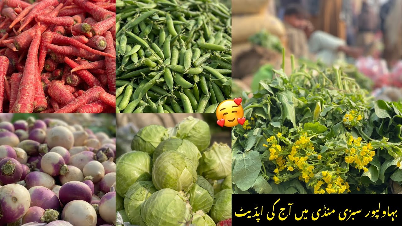 Bahawalpur Sabzi Mandi Mein Aj Ki Sabzion Ki Update 🥰