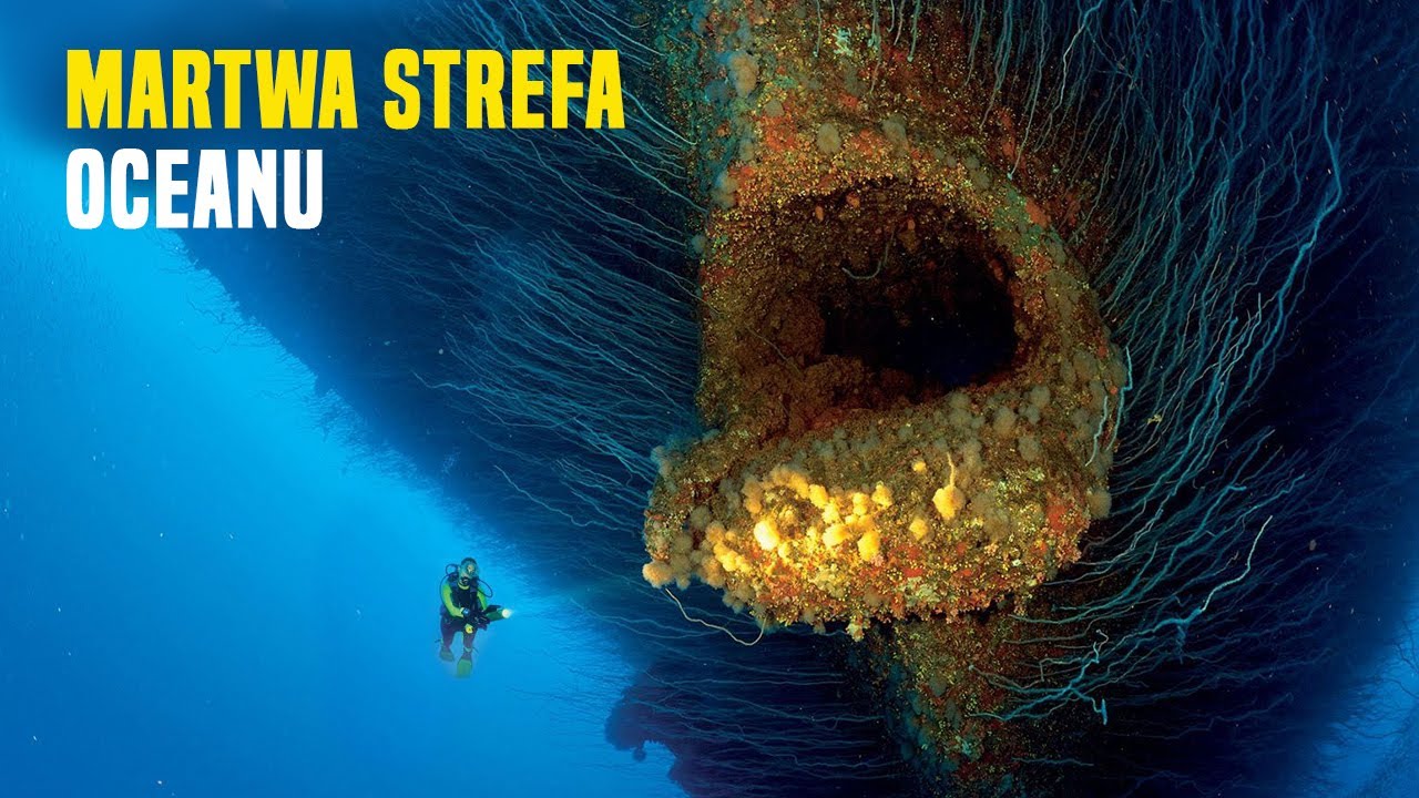 Kto Żyje w Martwej Strefie Oceanu?
