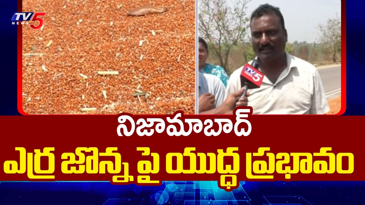 ఎర్ర జొన్న పై యుద్ధ ప్రభావం..War Effects Impact On Red Sorghum At Nizamabad District | TV5 News