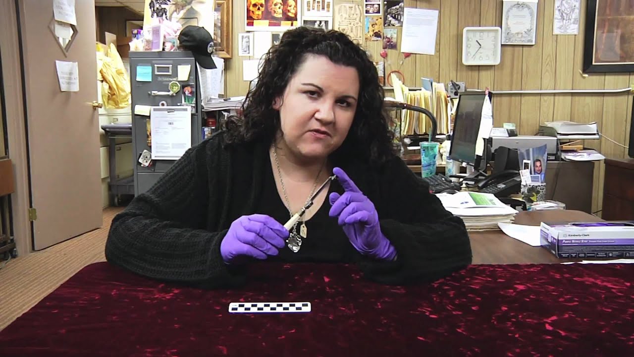 Bedbugs extracted from a patients ear and guess what's next on the curator's desk