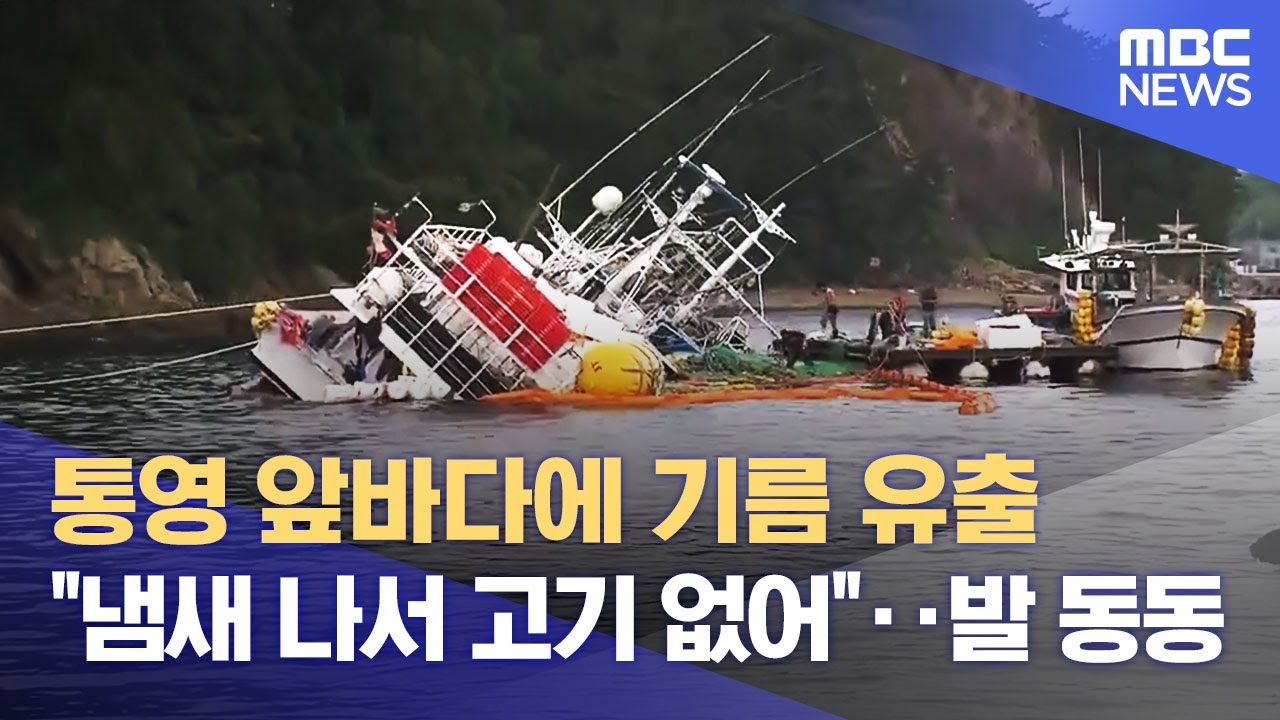 통영 바다에 기름 유출‥국내 유일 잘피 육성장도 우려 (2025.06.17/뉴스데스크/MBC경남)