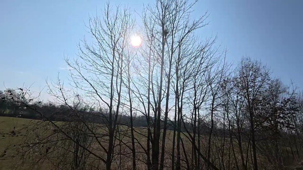 Wanderung #04 Vöcklabruck Freizeitpark Richtung Schlierwandalpakas und zurück
