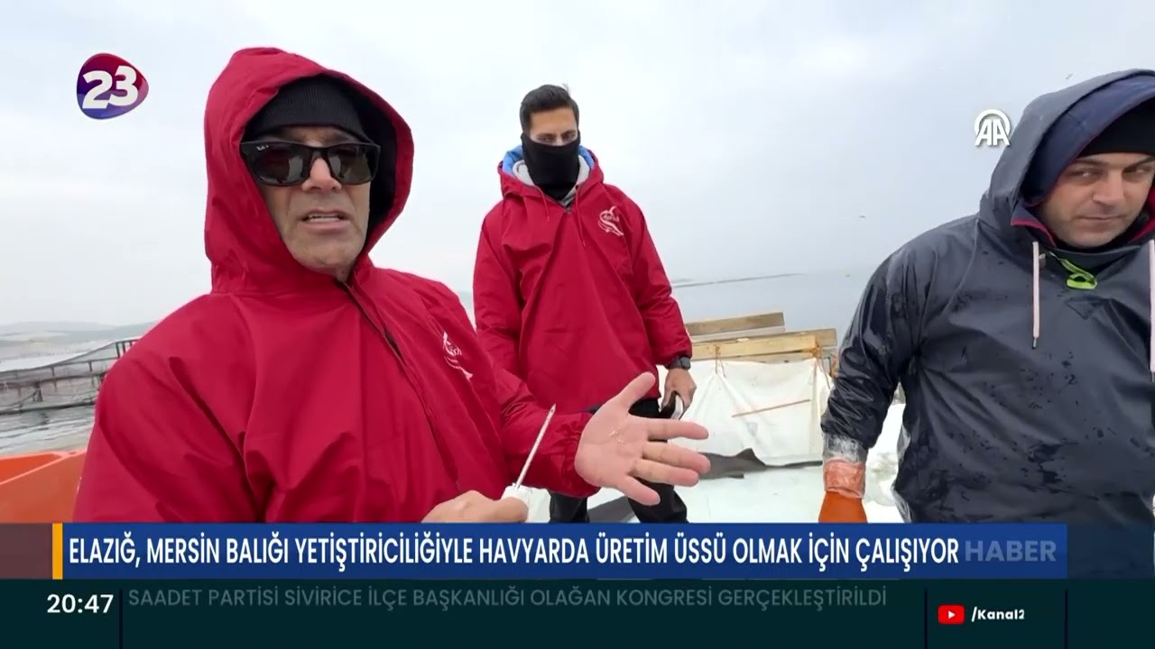 ELAZIĞ, MERSİN BALIĞI YETİŞTİRİCİLİĞİYLE HAVYARDA ÜRETİM ÜSSÜ OLMAK İÇİN ÇALIŞIYOR
