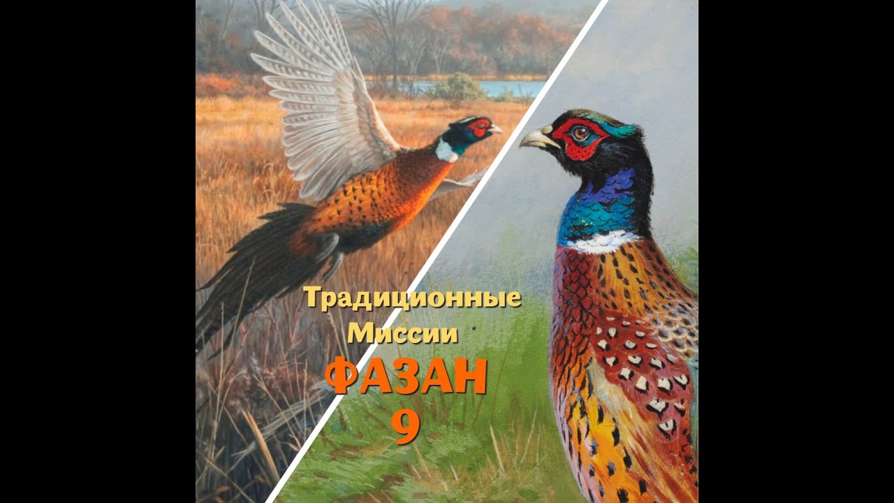 The Hunter classic(Традиционные миссии Фазан 9)
