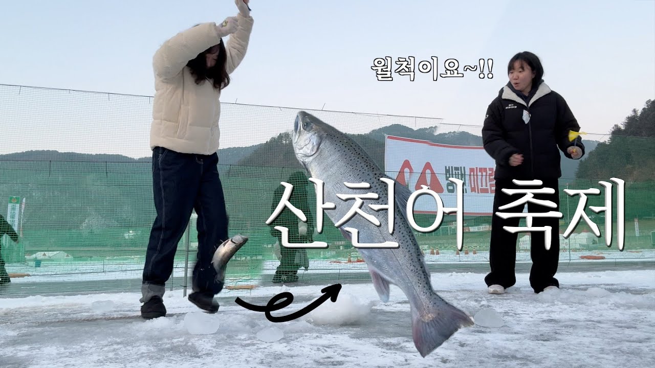1시간 동안 5마리나 잡은 화천산천어얼음낚시축제!!