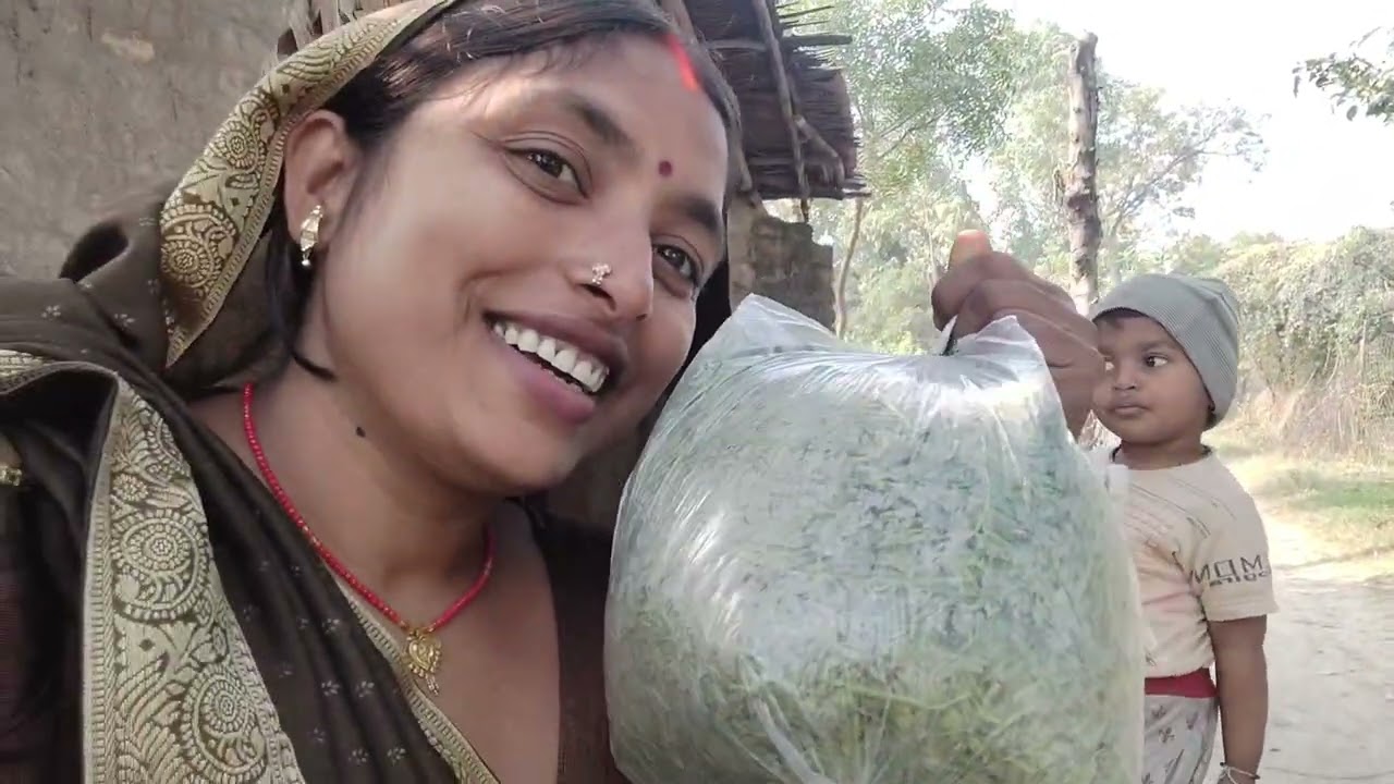 Happy makar Sankranti 🙏 yah dekhiae gaon ki hariyali gaon ka sukun 🌿🌿🪴🌱