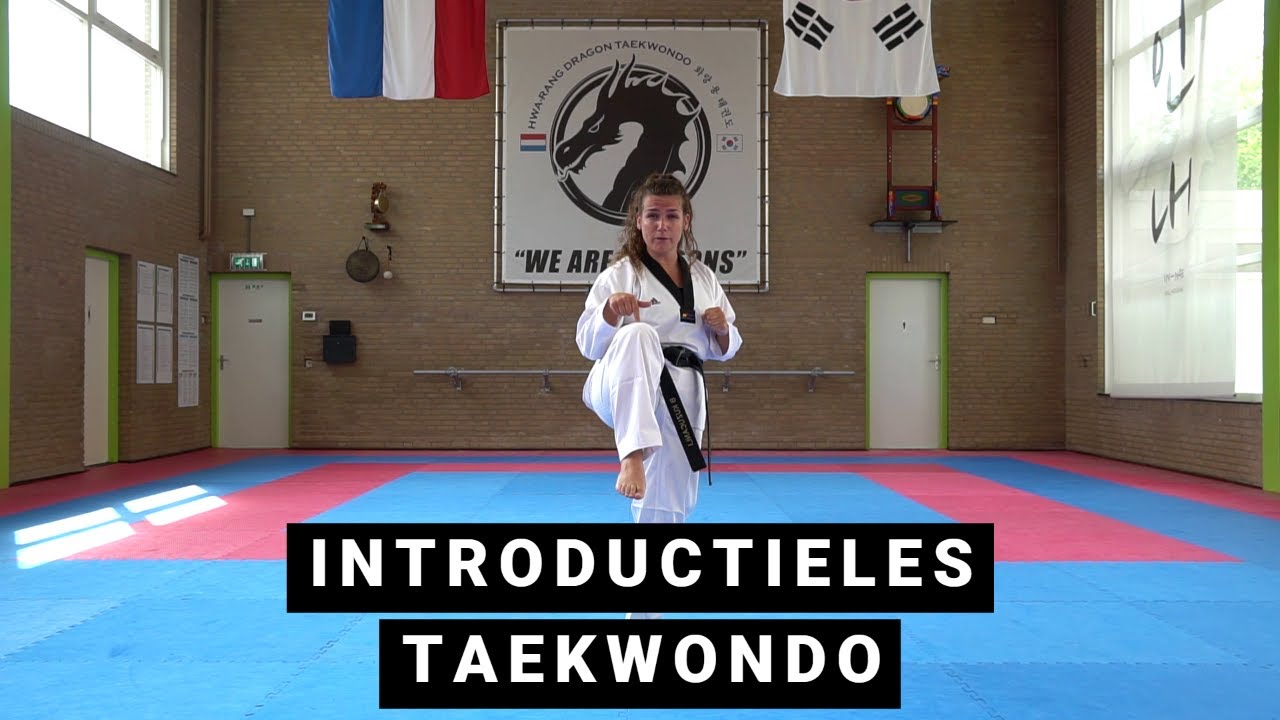 HOME WORKOUT #1 | TAEKWONDO 🥋