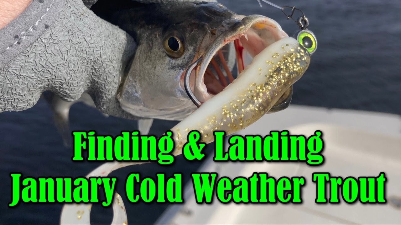 Finding & Landing January Cold Weather Trout