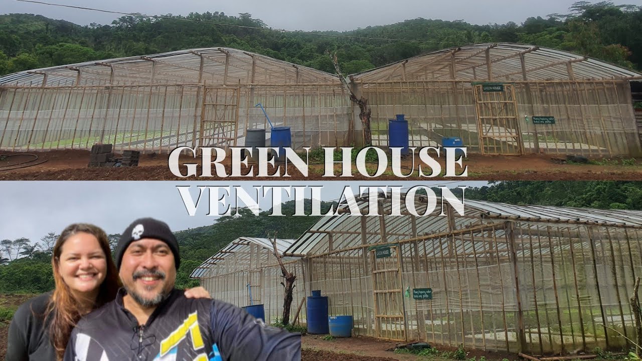 Greenhouse Ventilation: Creating Perfect Environment in Greenhouse Ventilation
