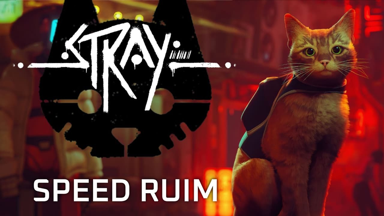 SPEED RUIM DE GATINHO - STRAY