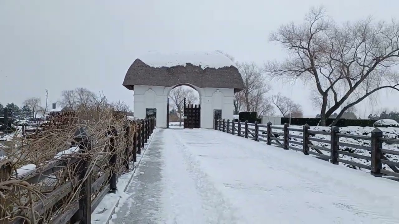 ЗА ЛАЙКИ💕🎄ПРОСМОТРЫ💕🎄БЛАГОДАРЮ💋💕