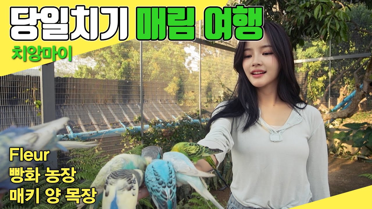 현지인 벙개 멤버들과 함께한 매림 여행