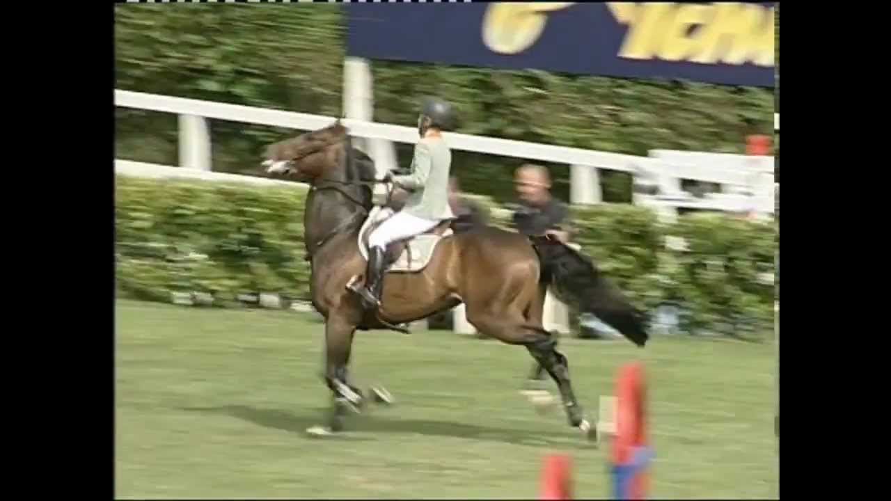 Contender - o absoluto