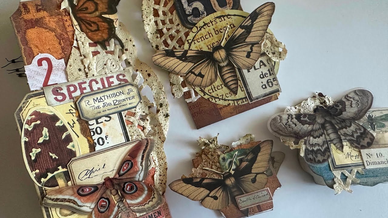 Dephemerember Tabs with moth eaten lace #dephemerember  2025