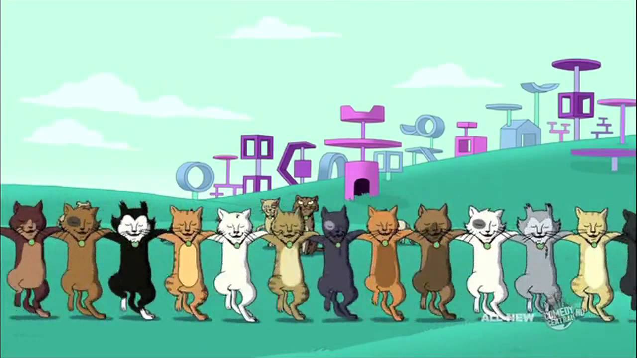 Кошачий канкан/Cat's can-can
