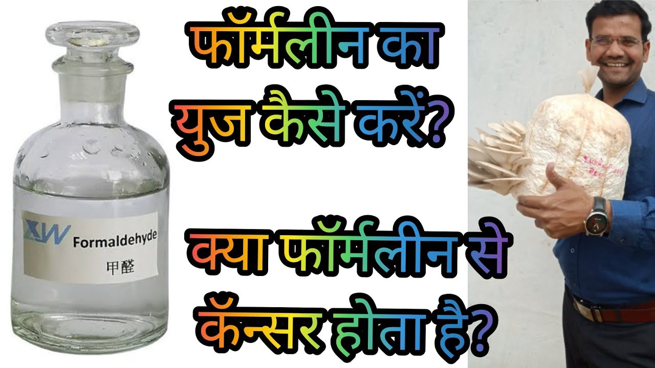 फॉर्मलीन का युज कैसे करें?  || Oyster Milky Mushrooms Cultivation || Team GBS