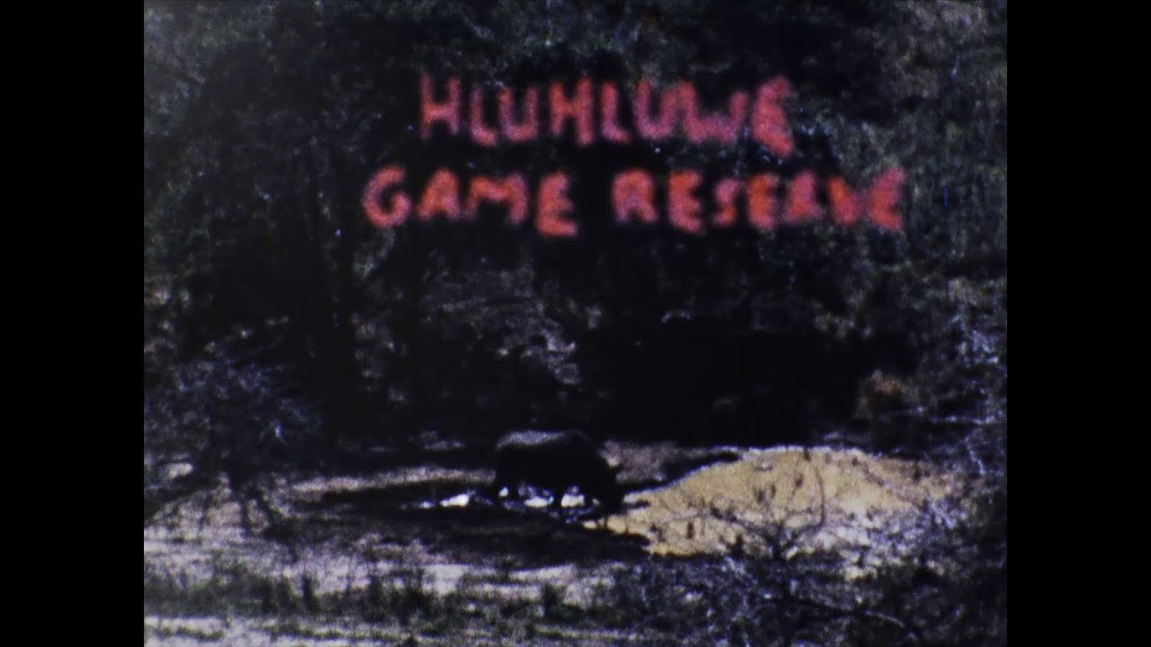 Hluhluwe Game Reserve - 8mm film