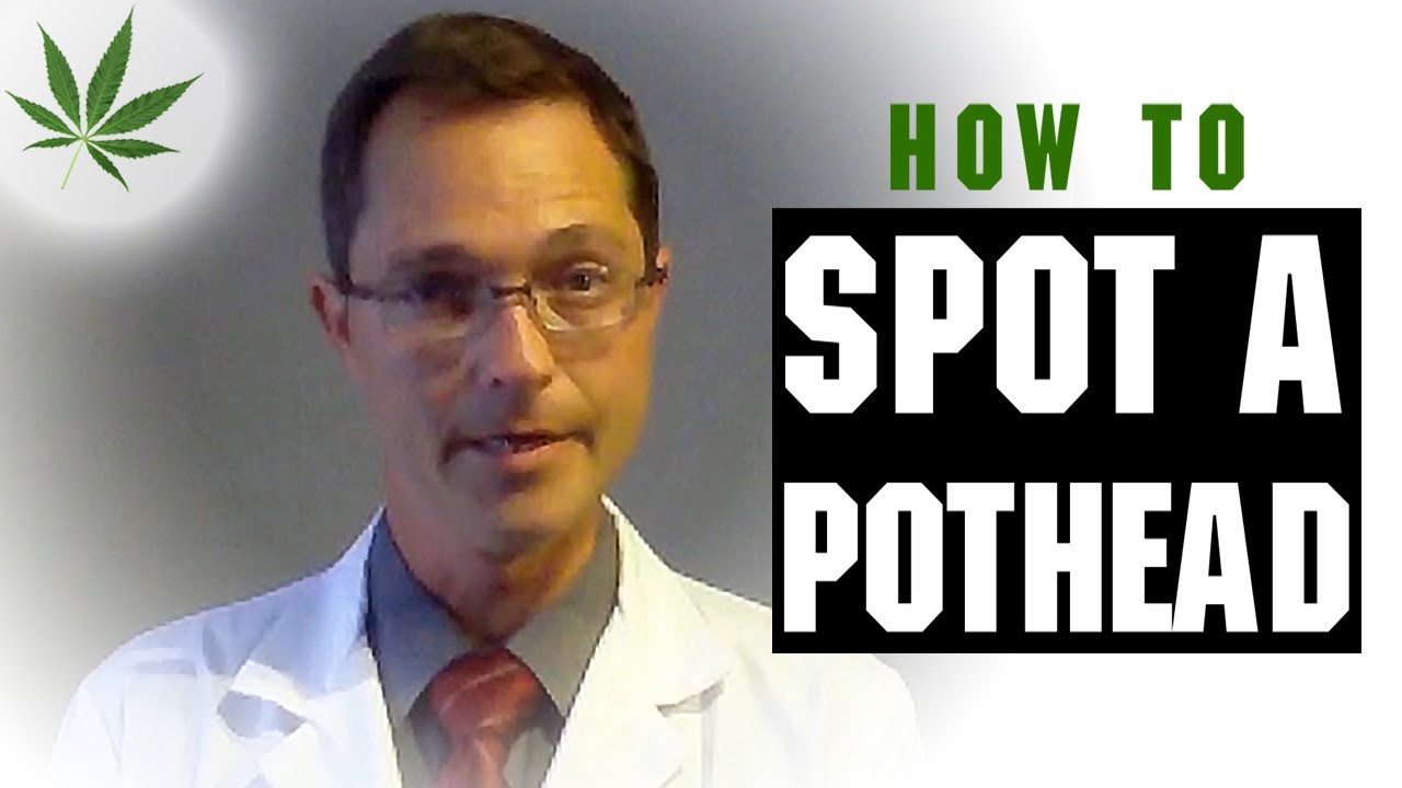 How to Spot A Pothead Marijuana Tricks & Tips w/ Bogart #7