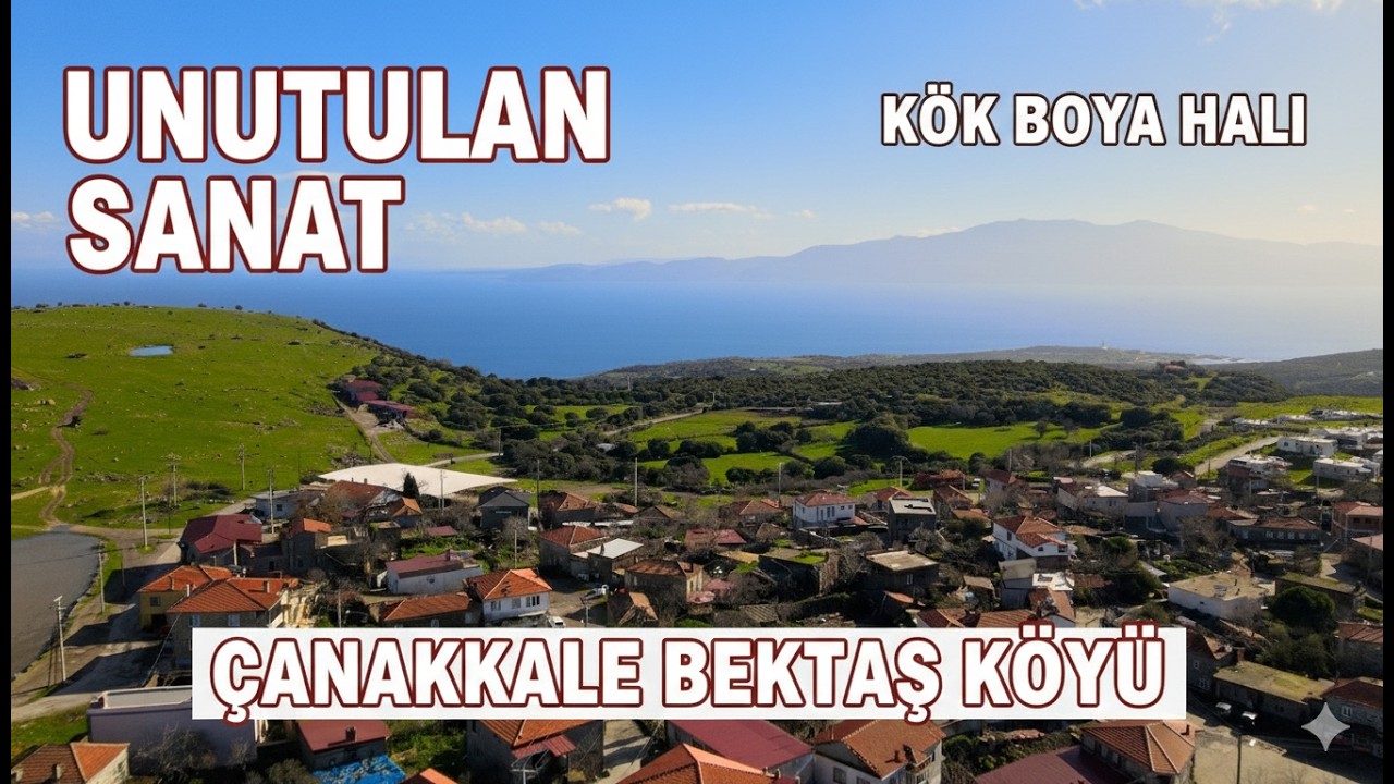 Çanakkale Ayvacık'ta Bir Başarı Hikayesi: Bektaş Köyü Kadın Kooperatifi