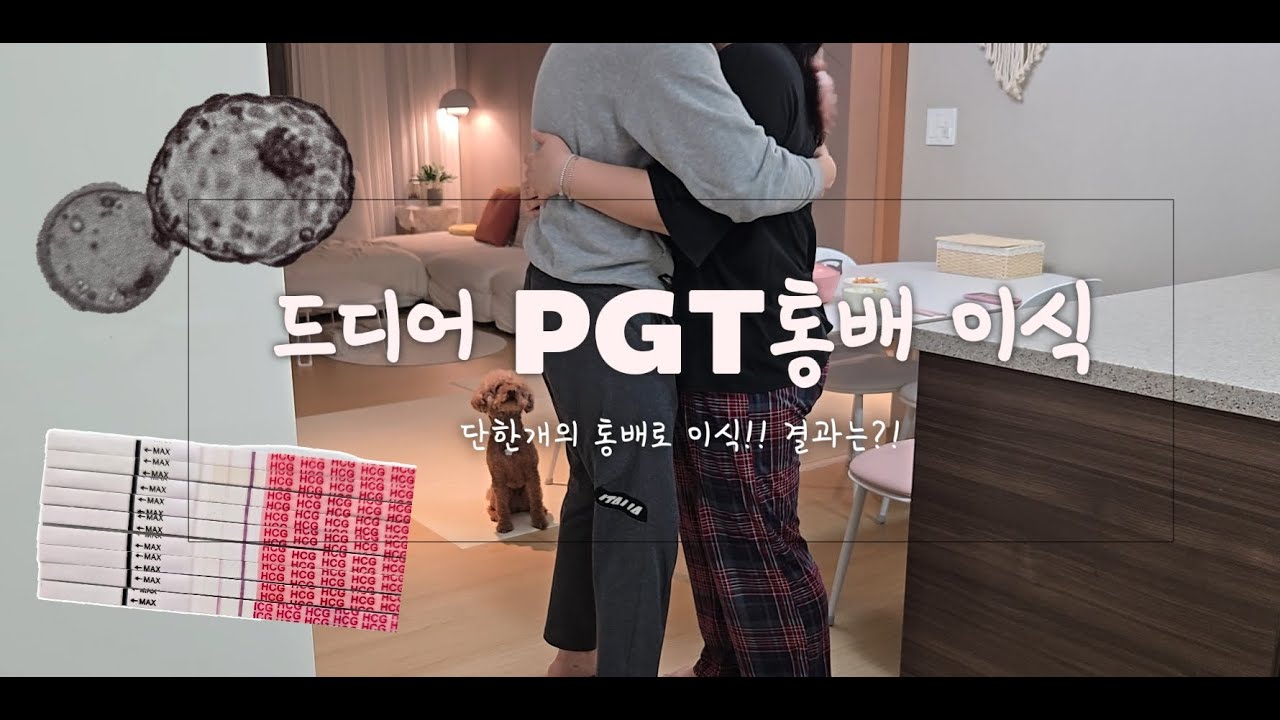 [시험관vlog] 두번째 배아이식&bull; PGT 통배 &bull; 이식 당일부터 시작된 증상 &bull; 피검 결과? &bull; 남편 임밍아웃