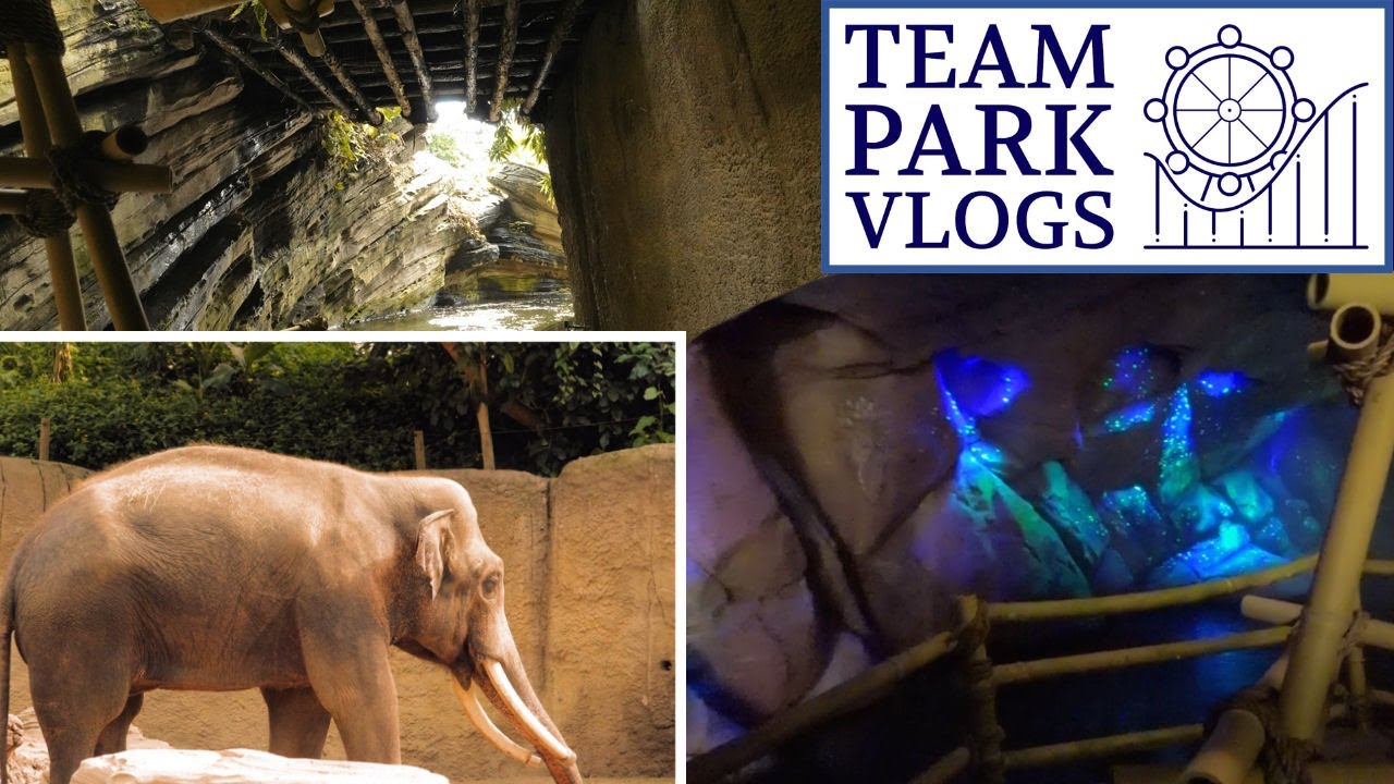 Rimbula River |  Onride 2023 | Wildlands Adventure Zoo