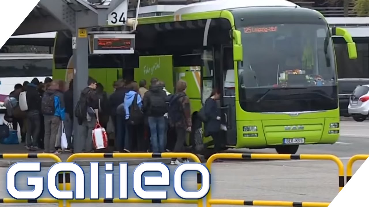 Flixbus kauft Postbus - Wird reisen für uns jetzt teurer? | Galileo Lunch Break