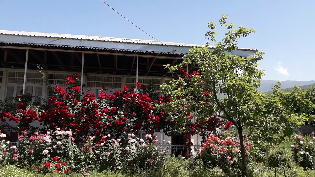 Şəki şəhərində ucuz qiymətə ev ...  Qeyd: Elan deaktivdir!...