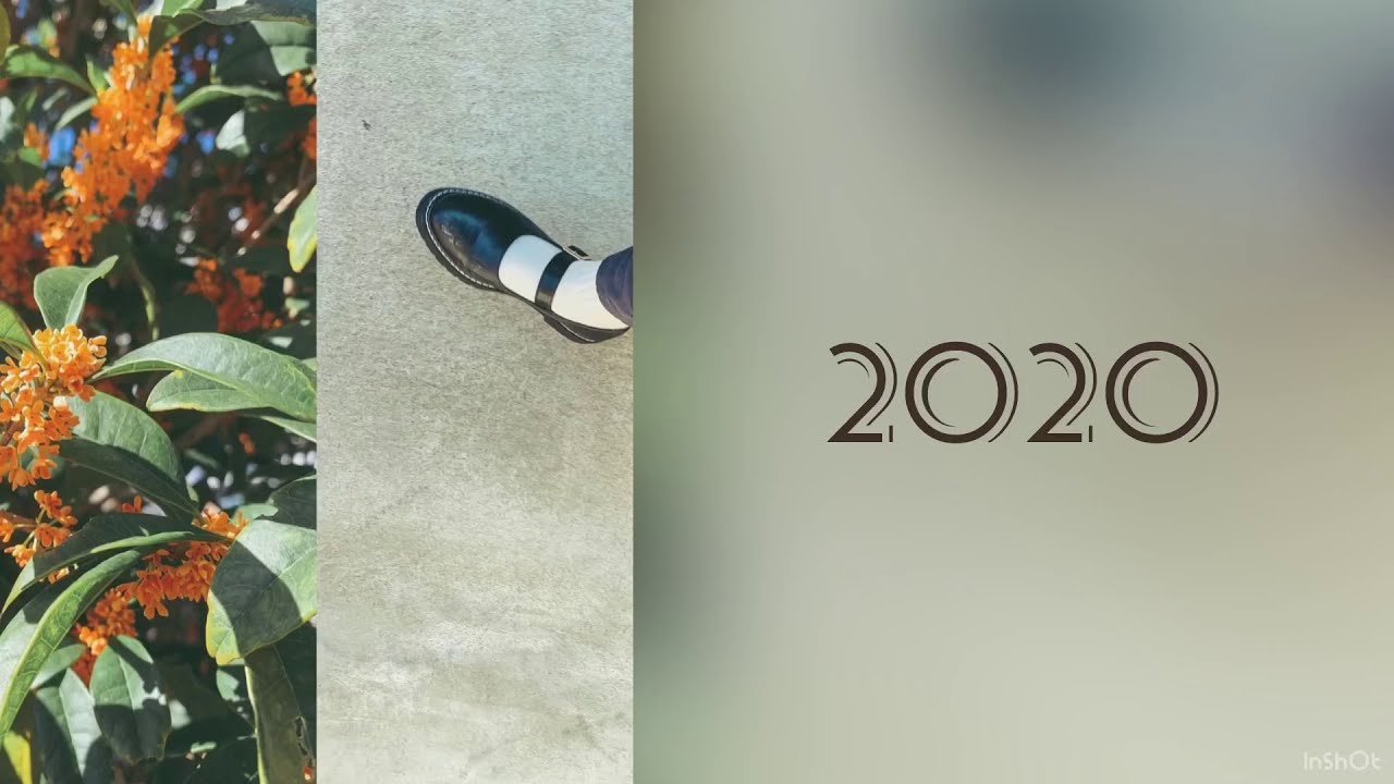 初　はなめ / Haname