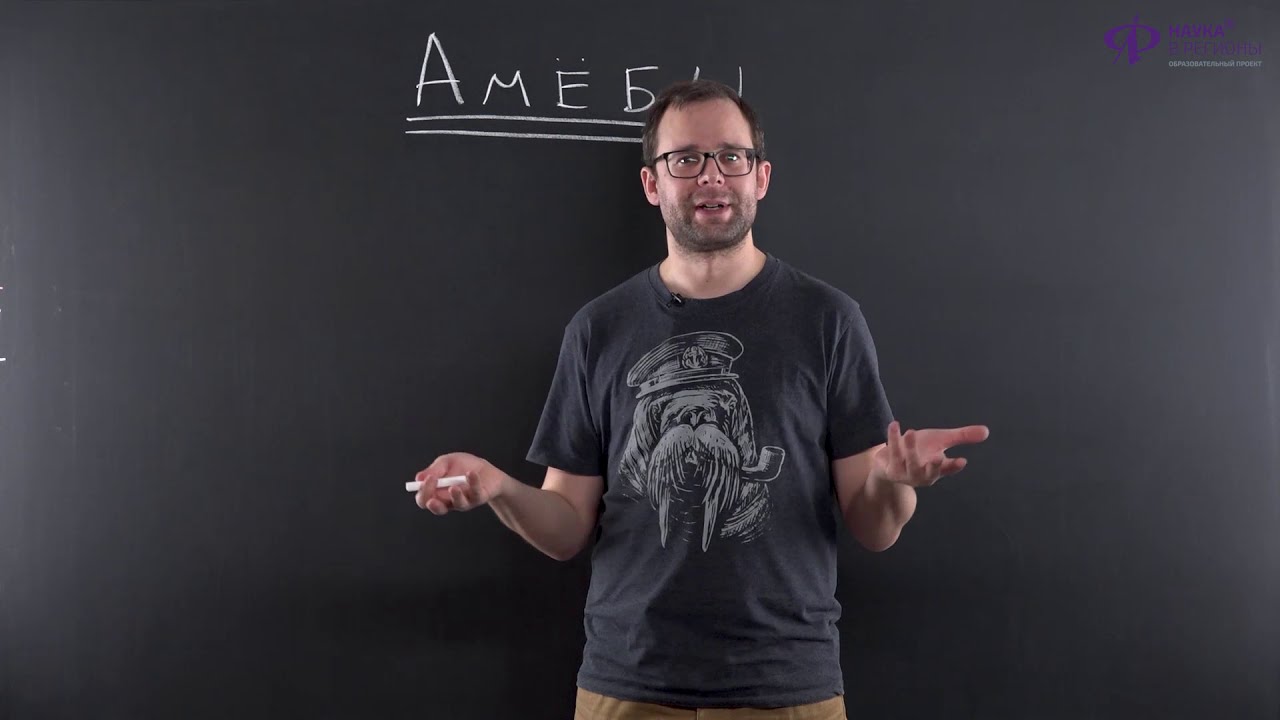 Биология | Одноклеточные эукориотические организмы