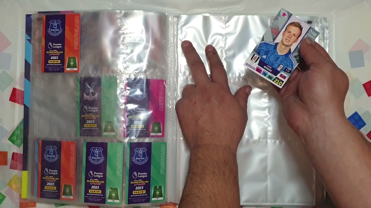 Premier League 2023 Panini/Adrenalyn Trading Cards Binder p1