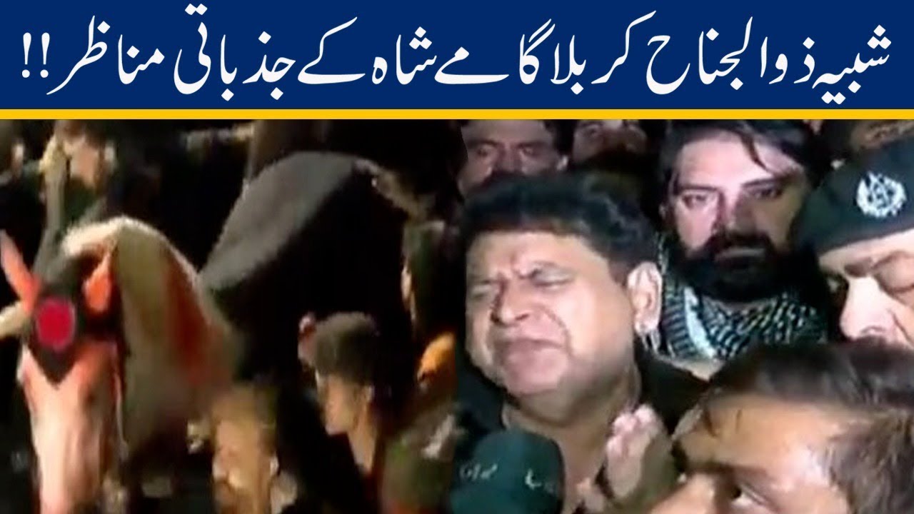 Shabih-e-Zuljanah Procession Emotional Scenes At Karbala Gamay Shah | 11 Muharram 2019
