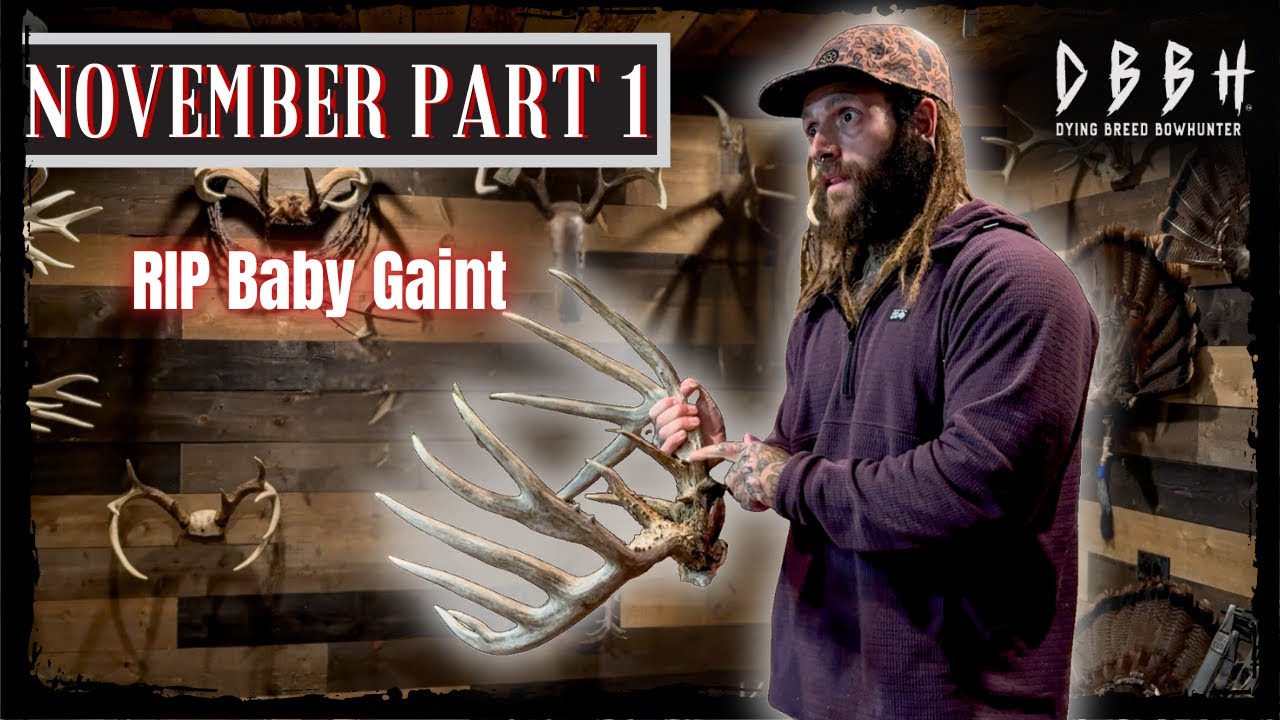 The Rut Is ON & OFF | Target Buck Hit By Car