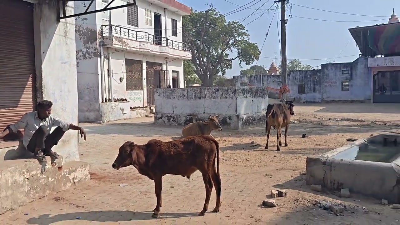 रिया बड़ी शिवमंदिर प्राचीन मंदिर महाभारत का टाइमका रामायण टाइम का खतरनाकमंदिर शिवा मंदिर रिया बड़ी#