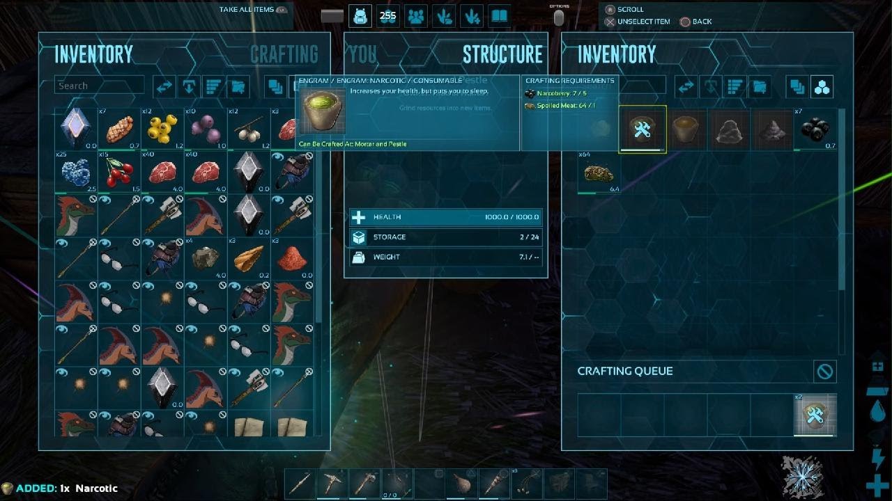 ARK: