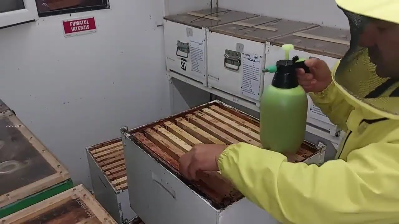Dezinfectare rame pentru un puiet sanatos