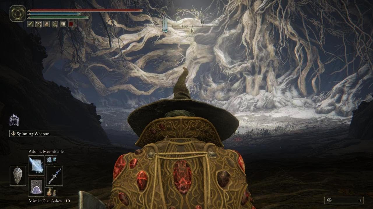 Malenia vs Sorcerer Elden Ring