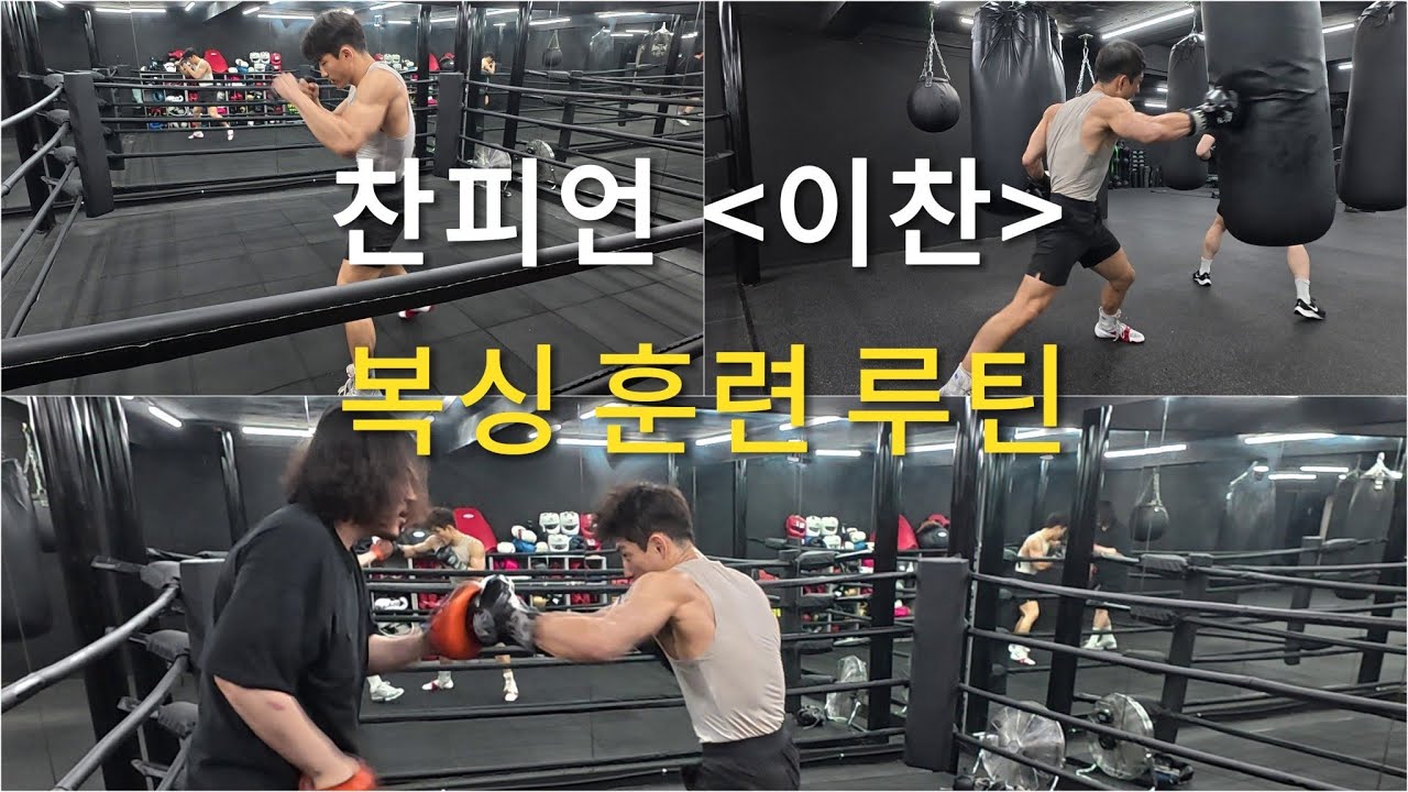 현역 프로복서 복싱 훈련 루틴 full ver.