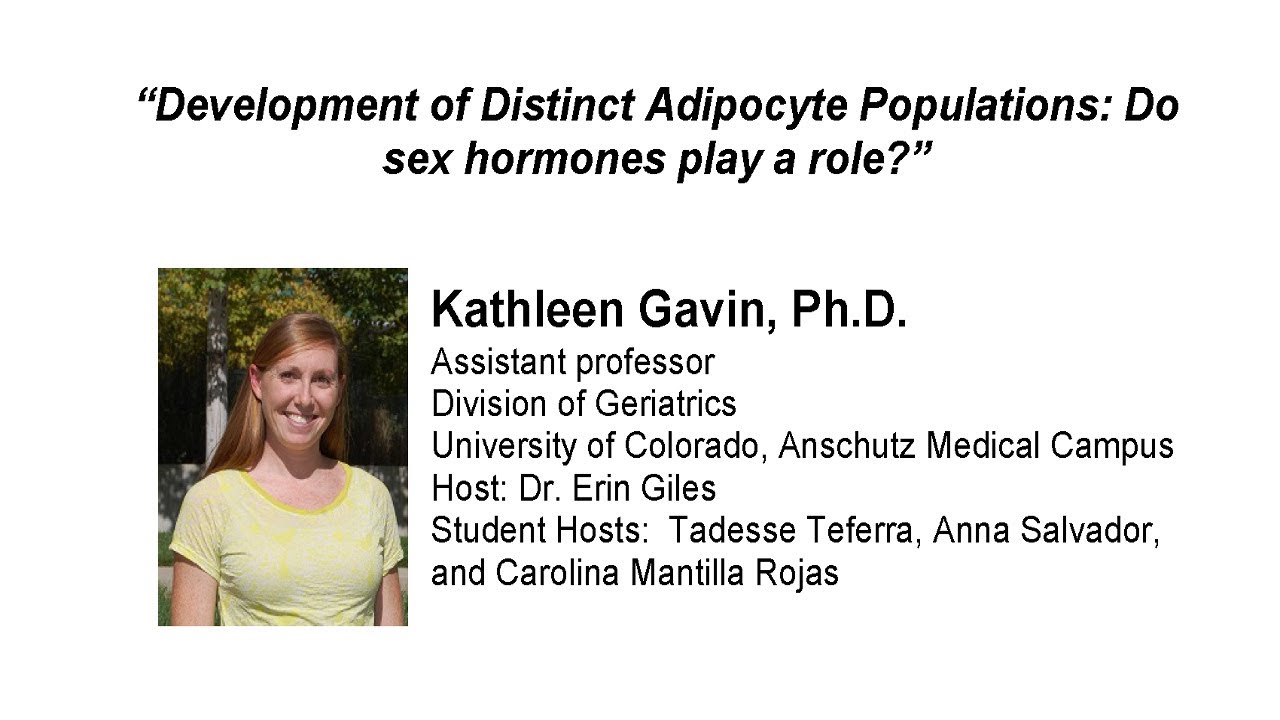 Development of Distinct Adipocyte Populations: Do sex hormones play a role?